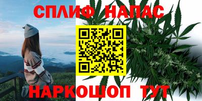 ПСИЛОЦИБИНОВЫЕ ГРИБЫ Лесосибирск