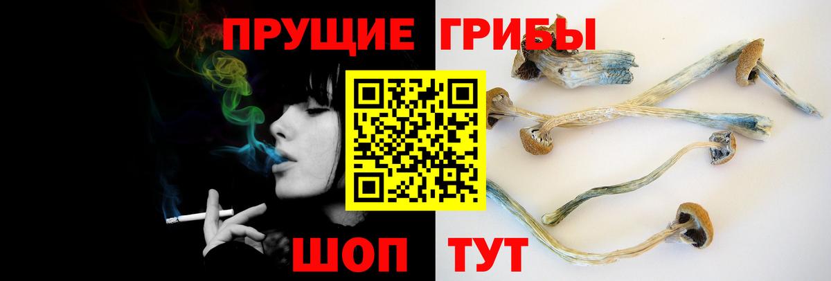 Галлюциногенные грибы Psilocybe Ивантеевка